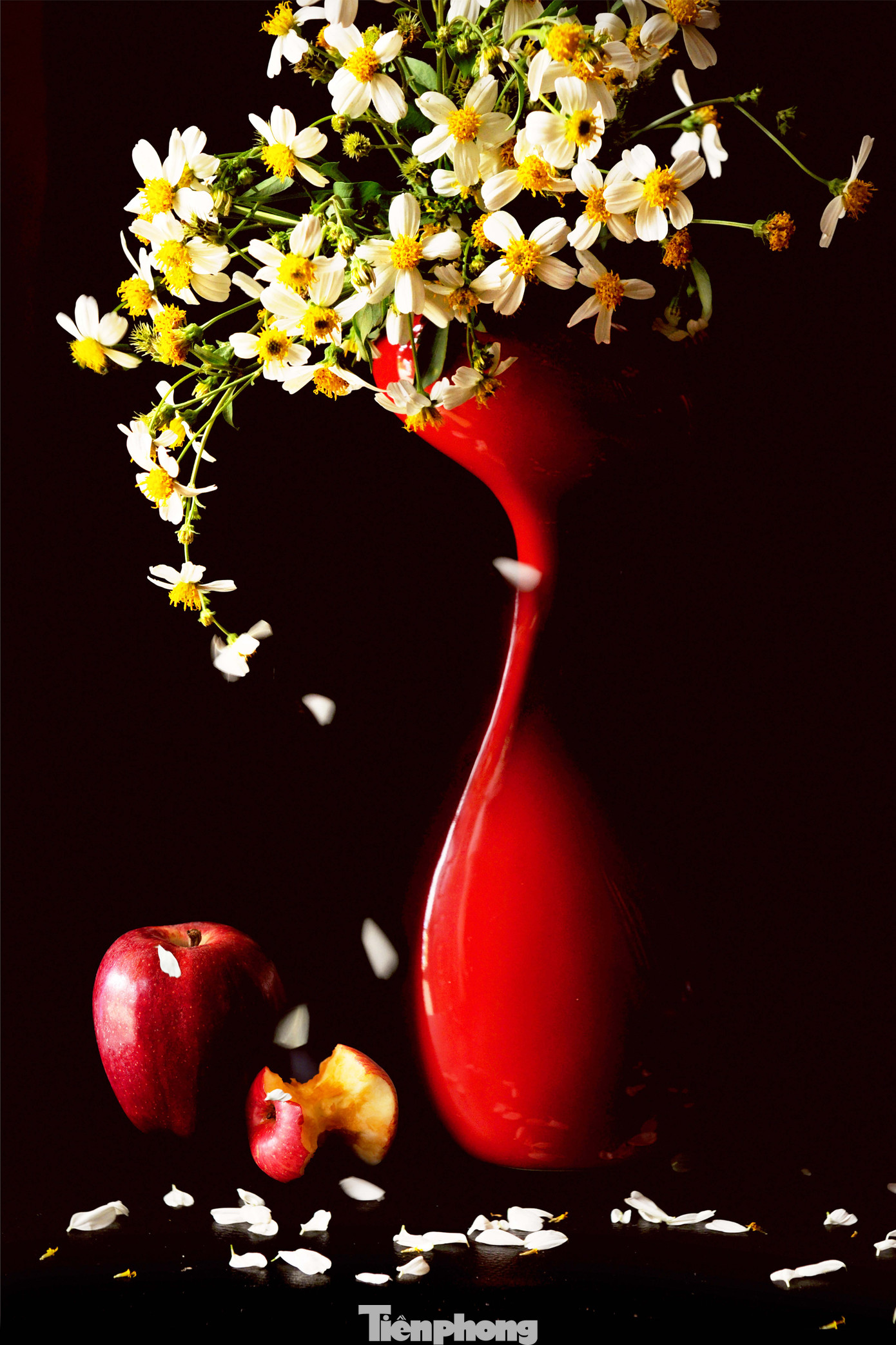 Mua ảnh nghệ thuật, vừa chơi xuân vừa xây thư viện ảnh 8