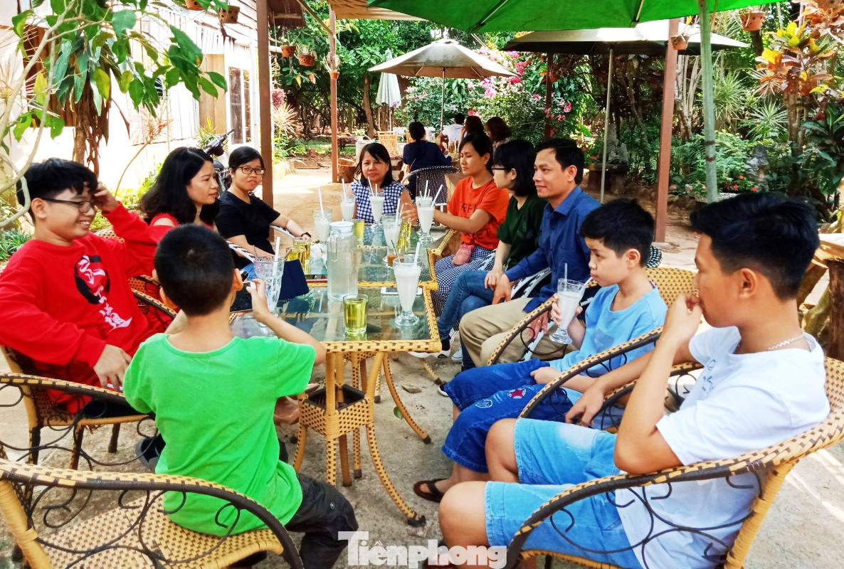 Du xuân với vườn ca cao muôn màu trên Tây Nguyên ảnh 11