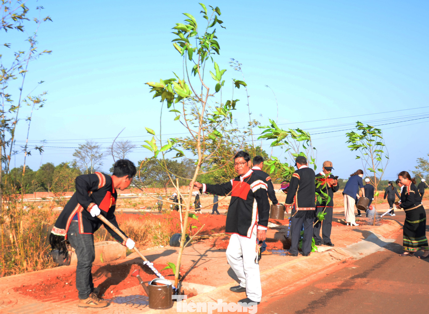 Trồng 100 cây ngọc lan và trao giải Ủ Rượu Cần tai 'Thành phố Cà phê' ảnh 1