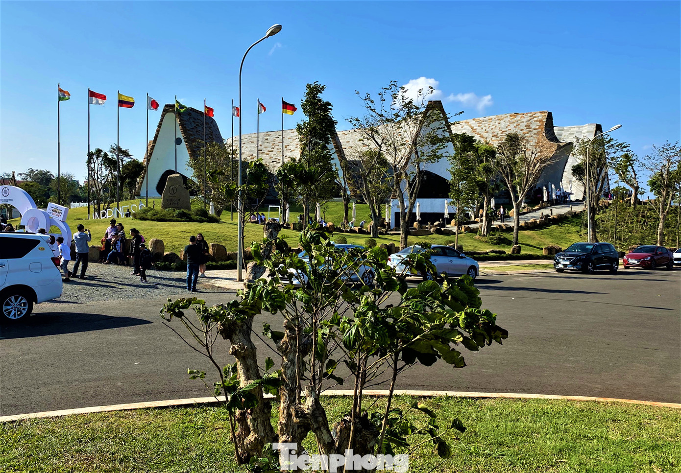 Trồng 100 cây ngọc lan và trao giải Ủ Rượu Cần tai 'Thành phố Cà phê' ảnh 7