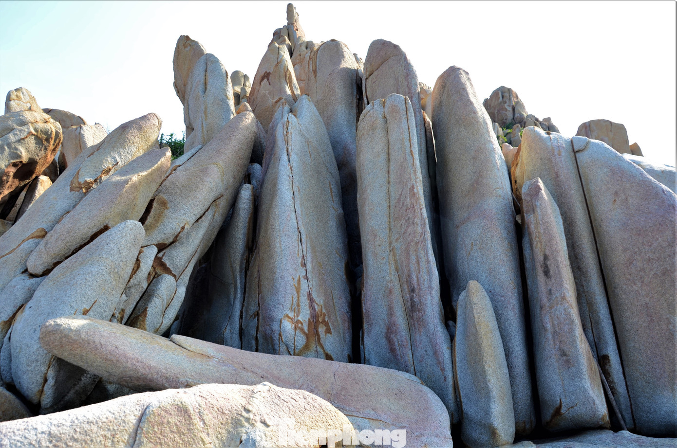 Kỳ thú những cung đường bộ xuyên biển ảnh 2