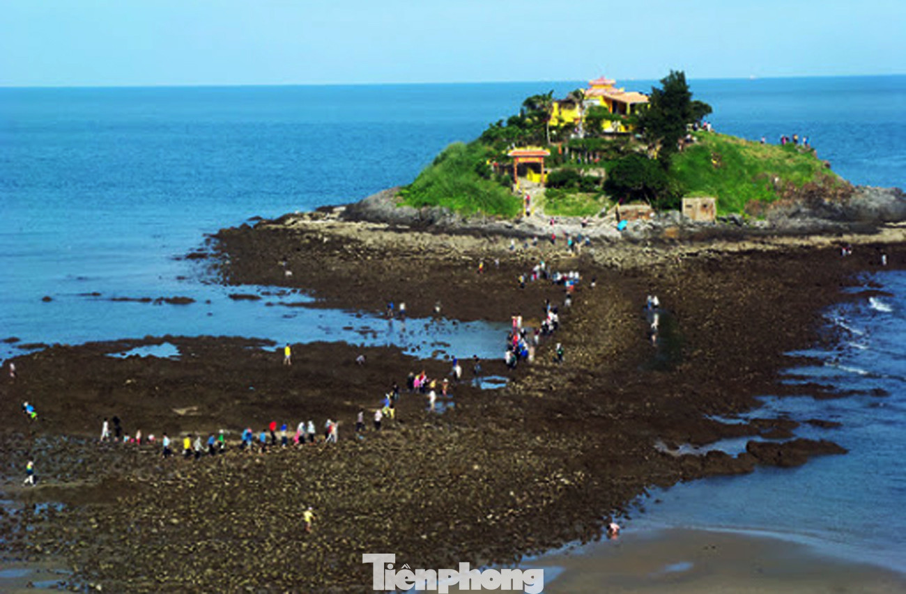 Kỳ thú những cung đường bộ xuyên biển ảnh 12