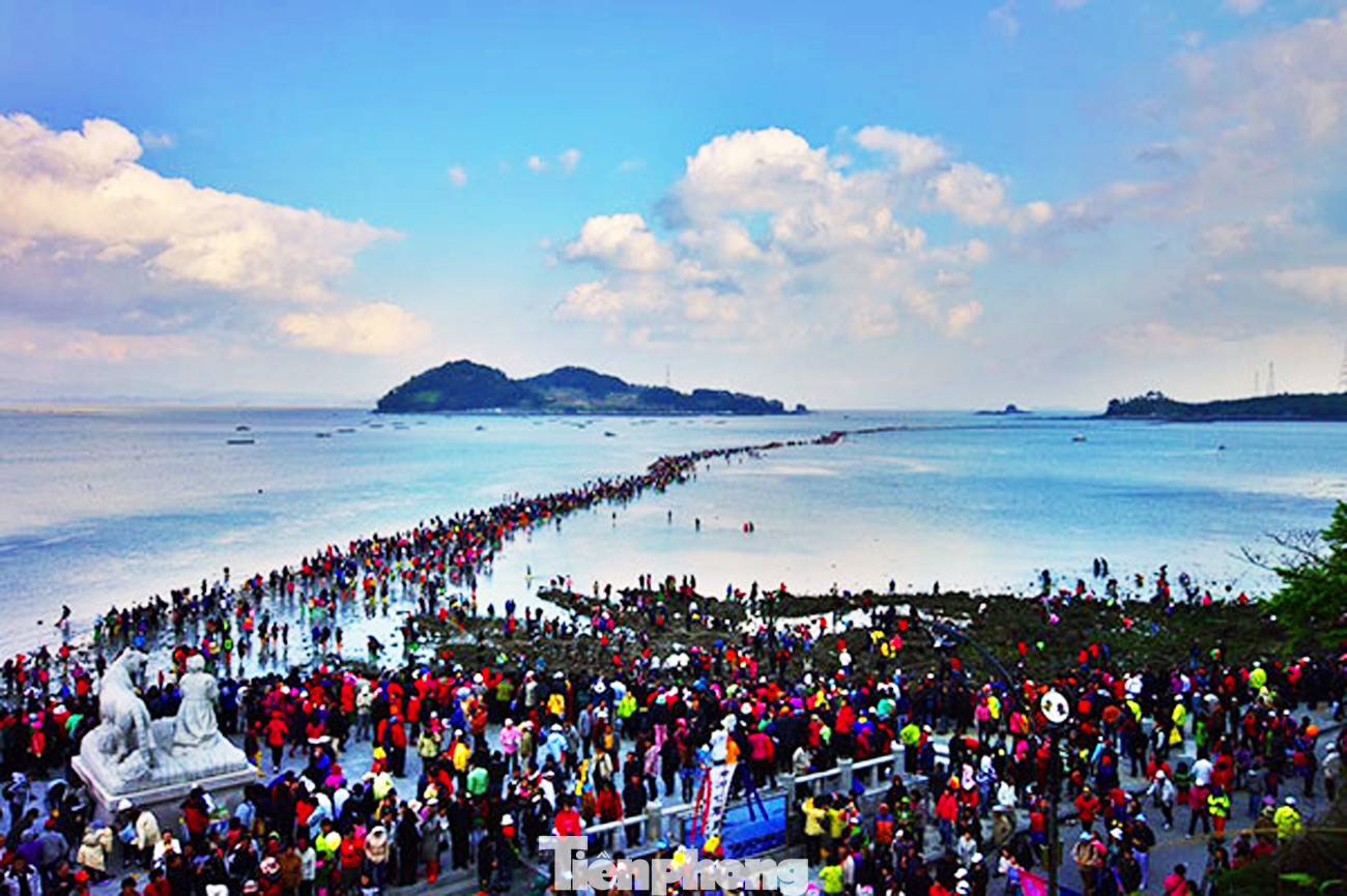 Kỳ thú những cung đường bộ xuyên biển ảnh 14