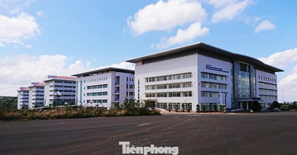 Sở Y tế Đắk Lắk sẽ buộc 10 người dùng bằng giả thôi việc ảnh 2