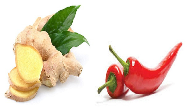 Thực phẩm cực tốt trong ngày Tết với người bị đau xương khớp ảnh 5