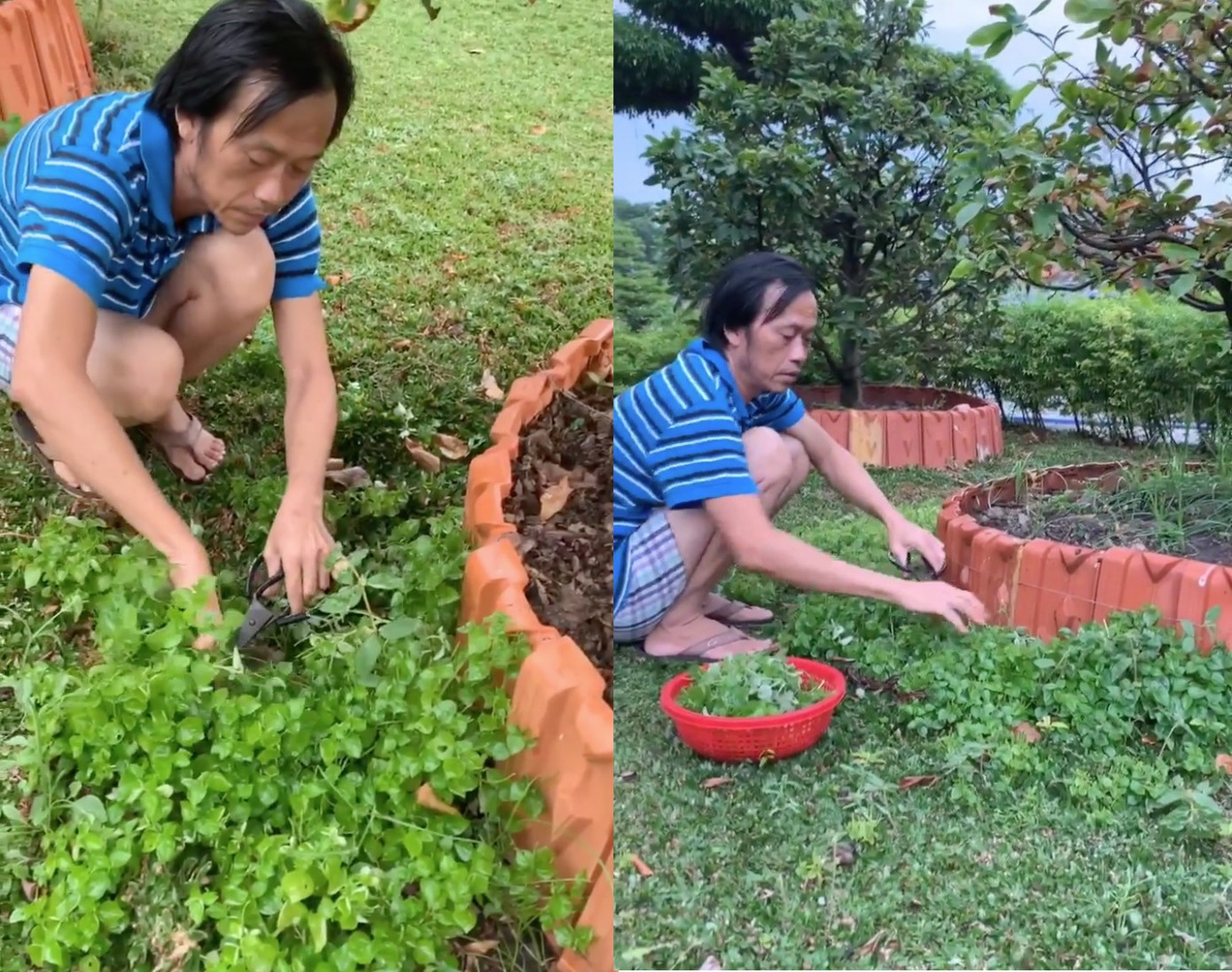 Trấn Thành khoe vũ đạo 'không xương' phì cười, treo thưởng tìm người tố anh 'bay lắc' ảnh 5