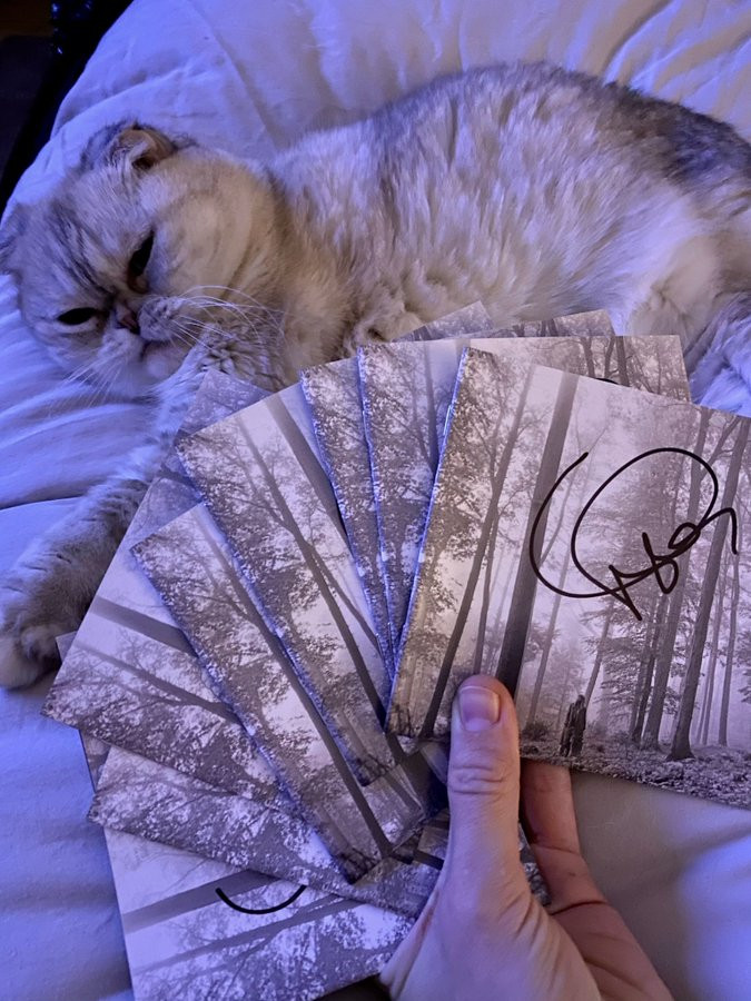 Nhờ album “folklore”, Taylor Swift là nghệ sĩ đầu tiên làm được điều này trong năm 2020 ảnh 2