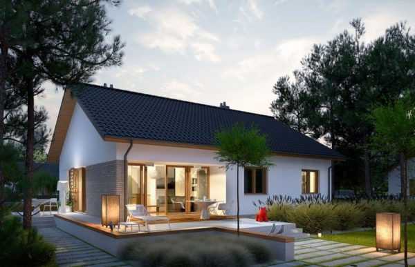 Những mẫu nhà nông thôn năm 2020, nhìn là muốn xây ngay ảnh 5