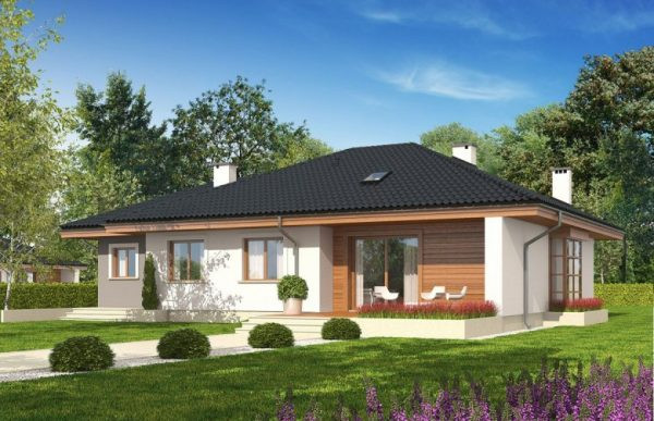 Những mẫu nhà nông thôn năm 2020, nhìn là muốn xây ngay ảnh 8