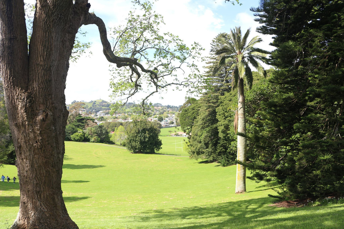 Bài dự thi “New Zealand - Bật mí trăm điều thú vị”: Tháng 10 - mùa cỏ nở hoa và ấn tượng New Zealand của tớ ảnh 4