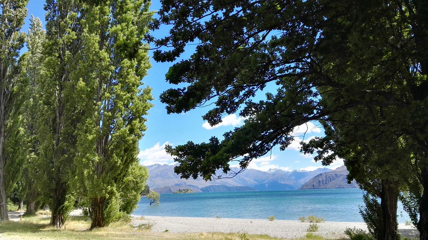 Bài dự thi cuộc thi “New Zealand - Bật mí trăm điều thú vị“: Mùa Hè thiên đường ở Auckland ảnh 4