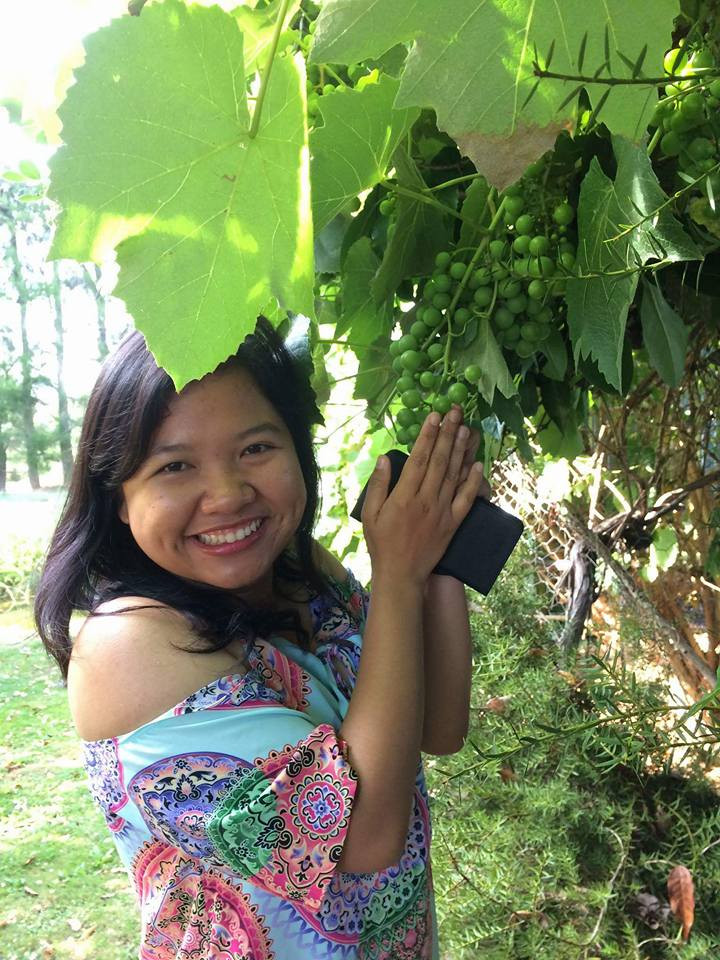 Bài dự thi cuộc thi “New Zealand - Bật mí trăm điều thú vị“: Mùa Hè thiên đường ở Auckland ảnh 1