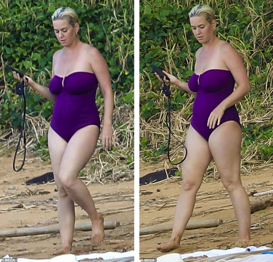 Chưa lấy lại dáng sau sinh con, Katy Perry vẫn tự tin diện đồ bơi trễ nải ảnh 3