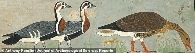 Tiết lộ về bức tranh 4.600 tuổi được mệnh danh là ‘Mona Lisa của Ai Cập cổ đại’ ảnh 5