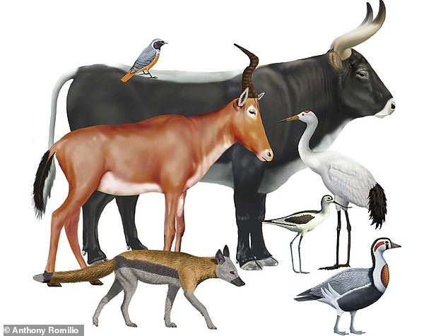 Tiết lộ về bức tranh 4.600 tuổi được mệnh danh là ‘Mona Lisa của Ai Cập cổ đại’ ảnh 7