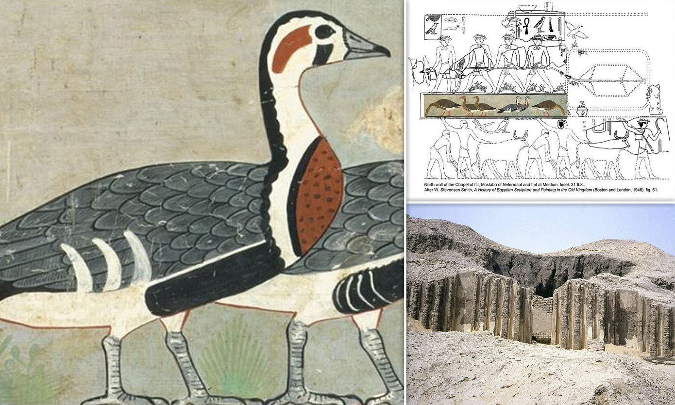 Bác sĩ nói về tình trạng sức khỏe của Thương Tín sau nhập viện vì đột quỵ ảnh 4