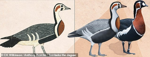 Tiết lộ về bức tranh 4.600 tuổi được mệnh danh là ‘Mona Lisa của Ai Cập cổ đại’ ảnh 4