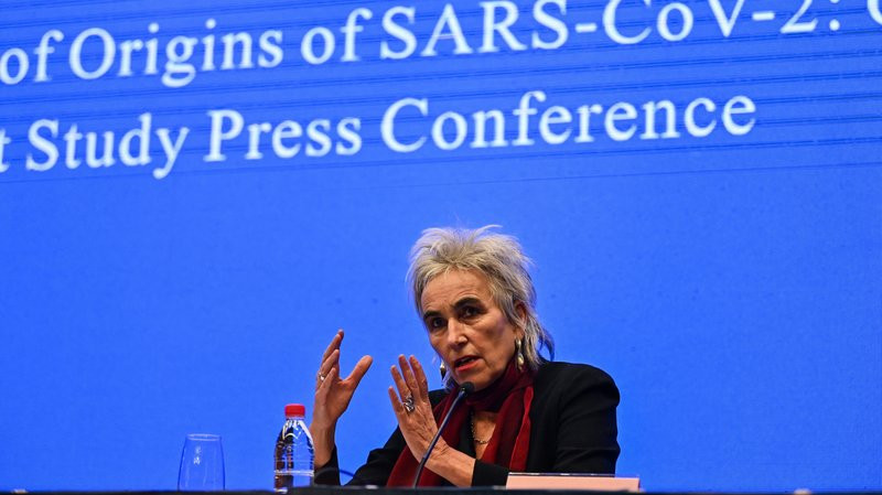 Chuyên gia WHO: ‘Cực kỳ khó’ có khả năng coronavirus bắt nguồn từ phòng thí nghiệm Vũ Hán ảnh 1
