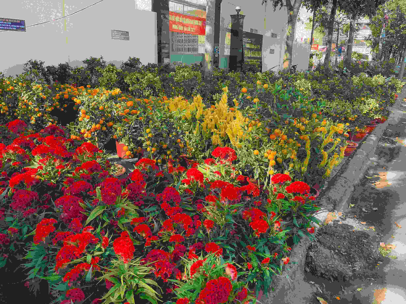 Tết ở đâu cũng là Tết, hãy để Tết này dù khác lạ cũng trở nên thật đáng nhớ trong mỗi chúng ta ảnh 4