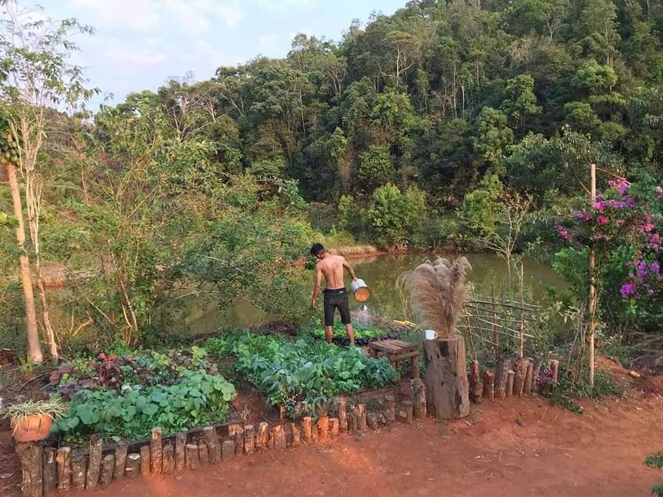 “Về quê nuôi cá và trồng thêm rau” hóa ra chẳng phải cuộc sống trong mơ, bạn còn phải giắt túi cả tỉ đồng! ảnh 9