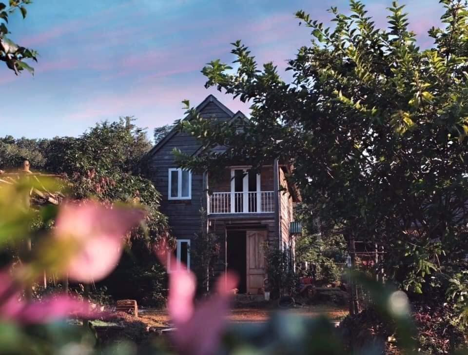 “Về quê nuôi cá và trồng thêm rau” hóa ra chẳng phải cuộc sống trong mơ, bạn còn phải giắt túi cả tỉ đồng! ảnh 3