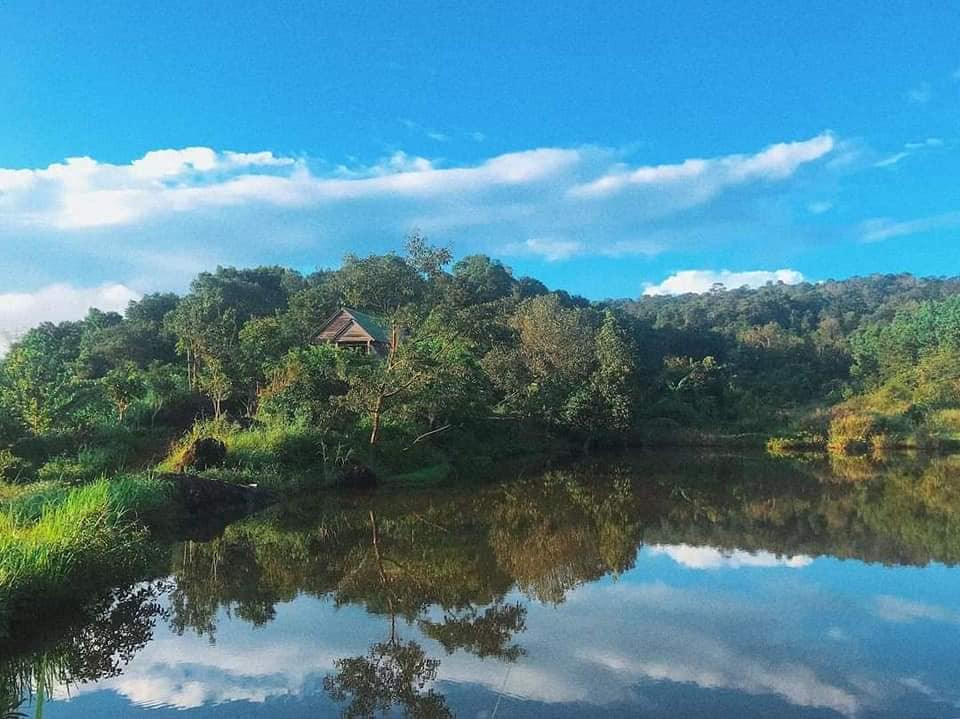 “Về quê nuôi cá và trồng thêm rau” hóa ra chẳng phải cuộc sống trong mơ, bạn còn phải giắt túi cả tỉ đồng! ảnh 4