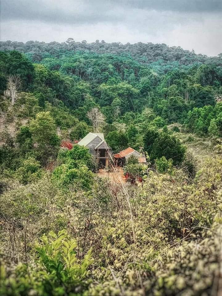 “Về quê nuôi cá và trồng thêm rau” hóa ra chẳng phải cuộc sống trong mơ, bạn còn phải giắt túi cả tỉ đồng! ảnh 5
