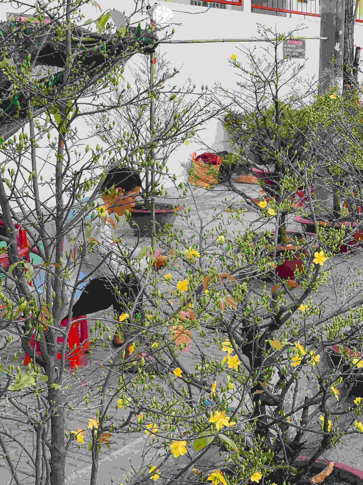 Tết ở đâu cũng là Tết, hãy để Tết này dù khác lạ cũng trở nên thật đáng nhớ trong mỗi chúng ta ảnh 2