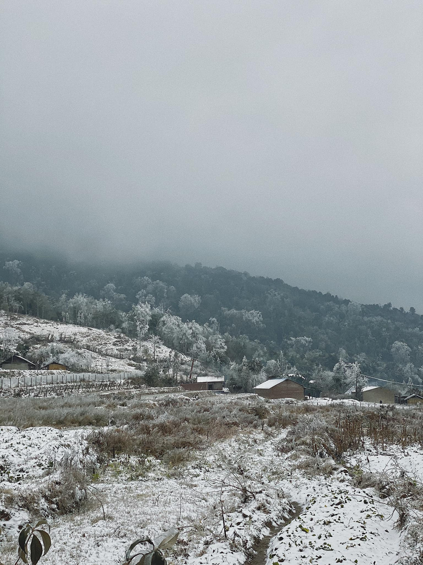 Y Tý, Sa Pa những ngày tuyết mùa Đông: Đẹp như lạc vào thế giới cổ tích của Frozen ảnh 5