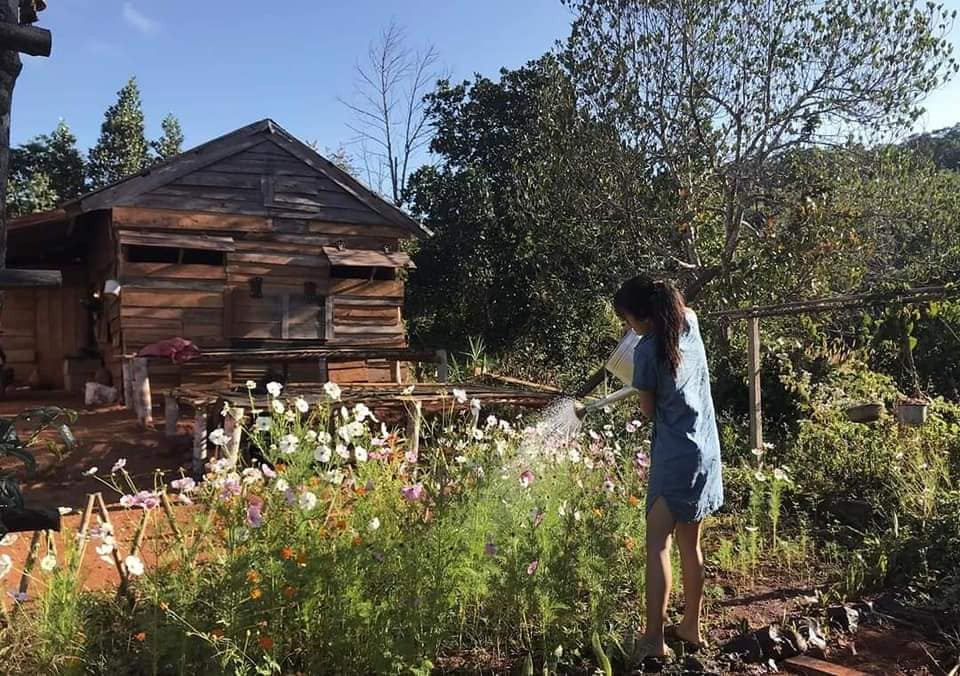 “Về quê nuôi cá và trồng thêm rau” hóa ra chẳng phải cuộc sống trong mơ, bạn còn phải giắt túi cả tỉ đồng! ảnh 8