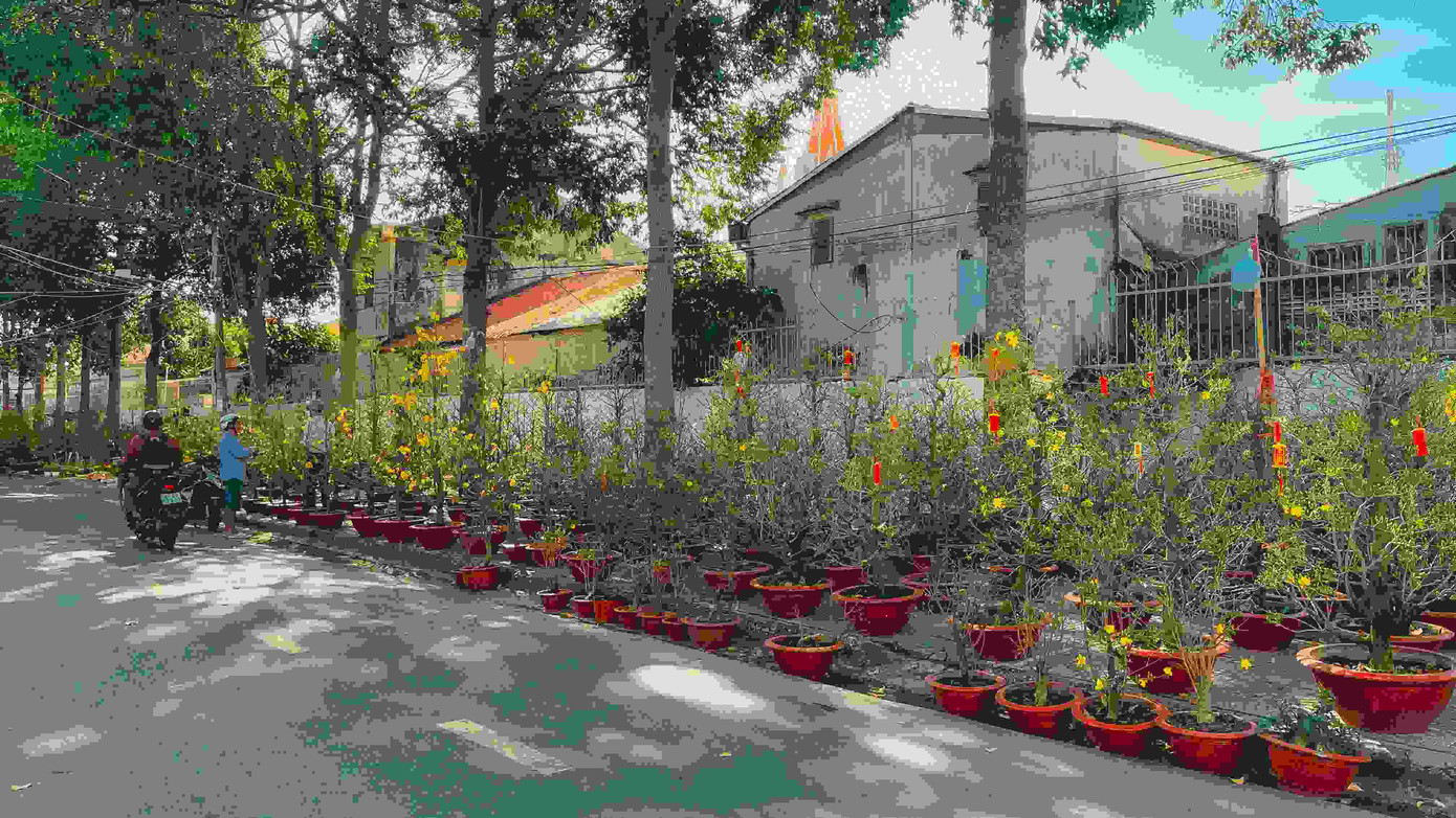 Tết ở đâu cũng là Tết, hãy để Tết này dù khác lạ cũng trở nên thật đáng nhớ trong mỗi chúng ta ảnh 1