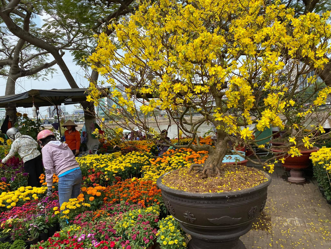 Tạm gác những âu lo, khắp nơi trên cả nước đều tràn ngập niềm vui “chở Tết về nhà“ ảnh 4