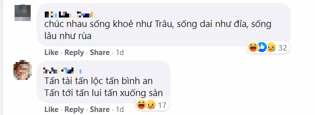 Tuyển tập lời chúc Tết từ hội thích “troll“: Linh nghiệm hay không thì chưa biết, nhưng “mặn” có thừa! ảnh 2