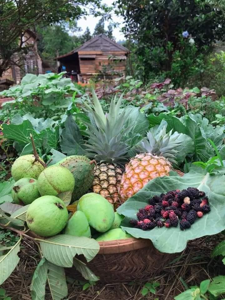 “Về quê nuôi cá và trồng thêm rau” hóa ra chẳng phải cuộc sống trong mơ, bạn còn phải giắt túi cả tỉ đồng! ảnh 10