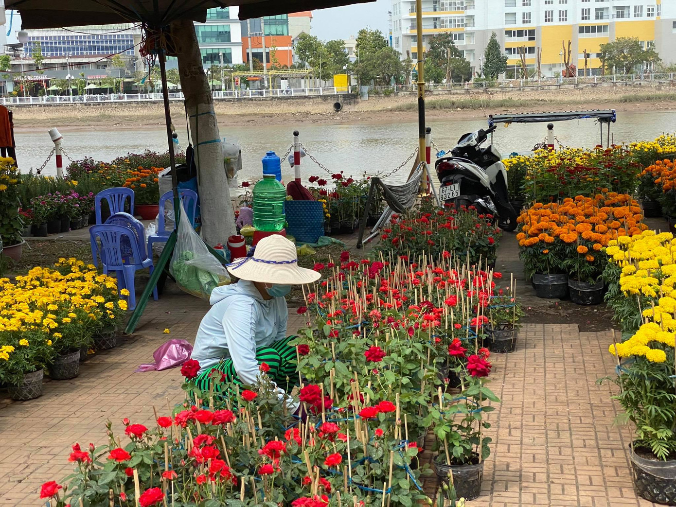 Tạm gác những âu lo, khắp nơi trên cả nước đều tràn ngập niềm vui “chở Tết về nhà“ ảnh 6