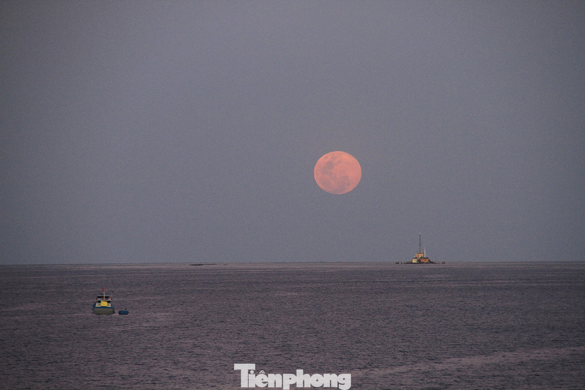 Trường Sa – Vẻ đẹp bất tận! ảnh 12