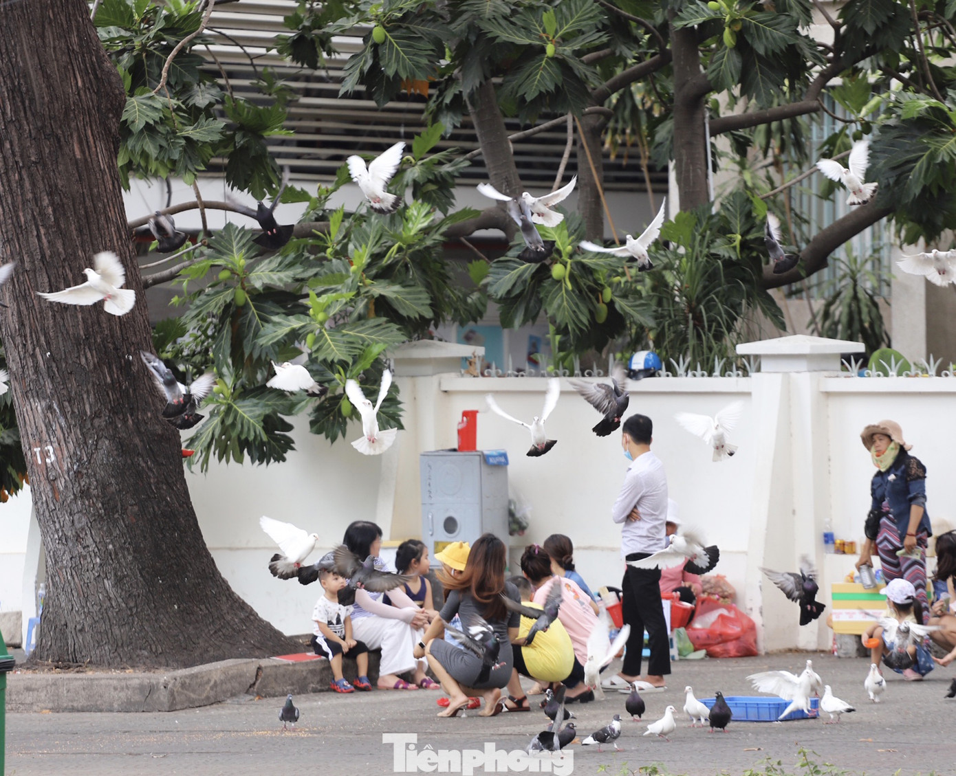 Sau gỡ bỏ giãn cách xã hội, người Sài Gòn dạo phố, chụp ảnh cuối tuần ảnh 8
