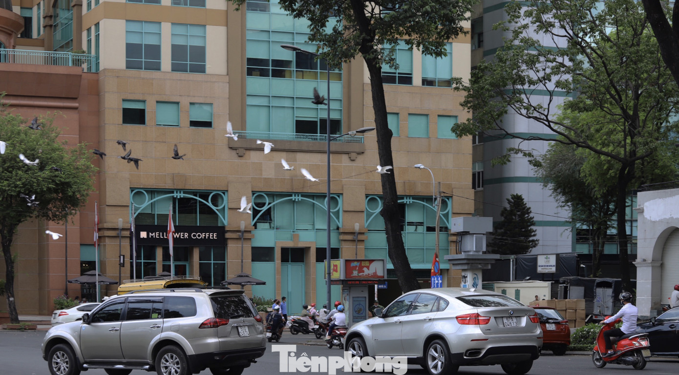 Sau gỡ bỏ giãn cách xã hội, người Sài Gòn dạo phố, chụp ảnh cuối tuần ảnh 4