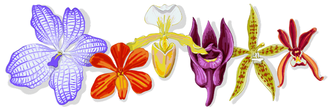 Giáo sư Thái Lan được Google đổi giao diện, kỷ niệm 97 năm ngày sinh là ai? ảnh 1