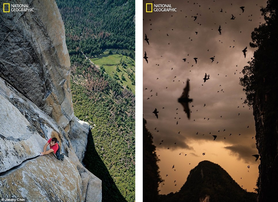 Mãn nhãn chiêm ngưỡng những hình ảnh đẹp nhất năm 2019 ảnh 5