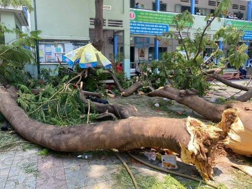 Liên tiếp những vụ tai nạn thương tâm: Cảnh báo an toàn trường học! ảnh 1