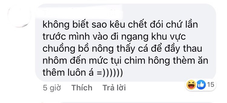 Thảo Cầm Viên Sài Gòn lên tiếng phản bác sau khi bị “tố” ngược đãi động vật ảnh 6