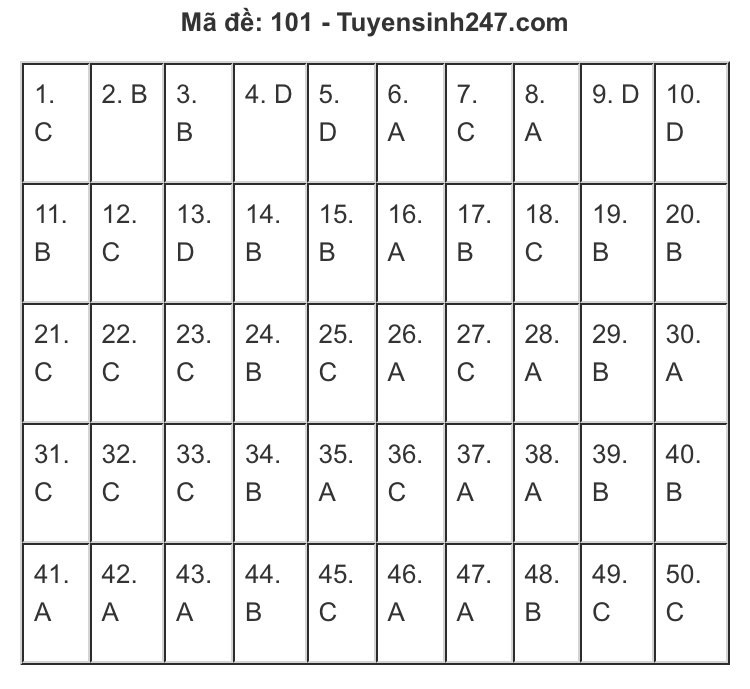 Gợi ý đáp án môn Toán thi Tốt nghiệp THPT 2020: Cùng chấm xem mình được mấy điểm! ảnh 6