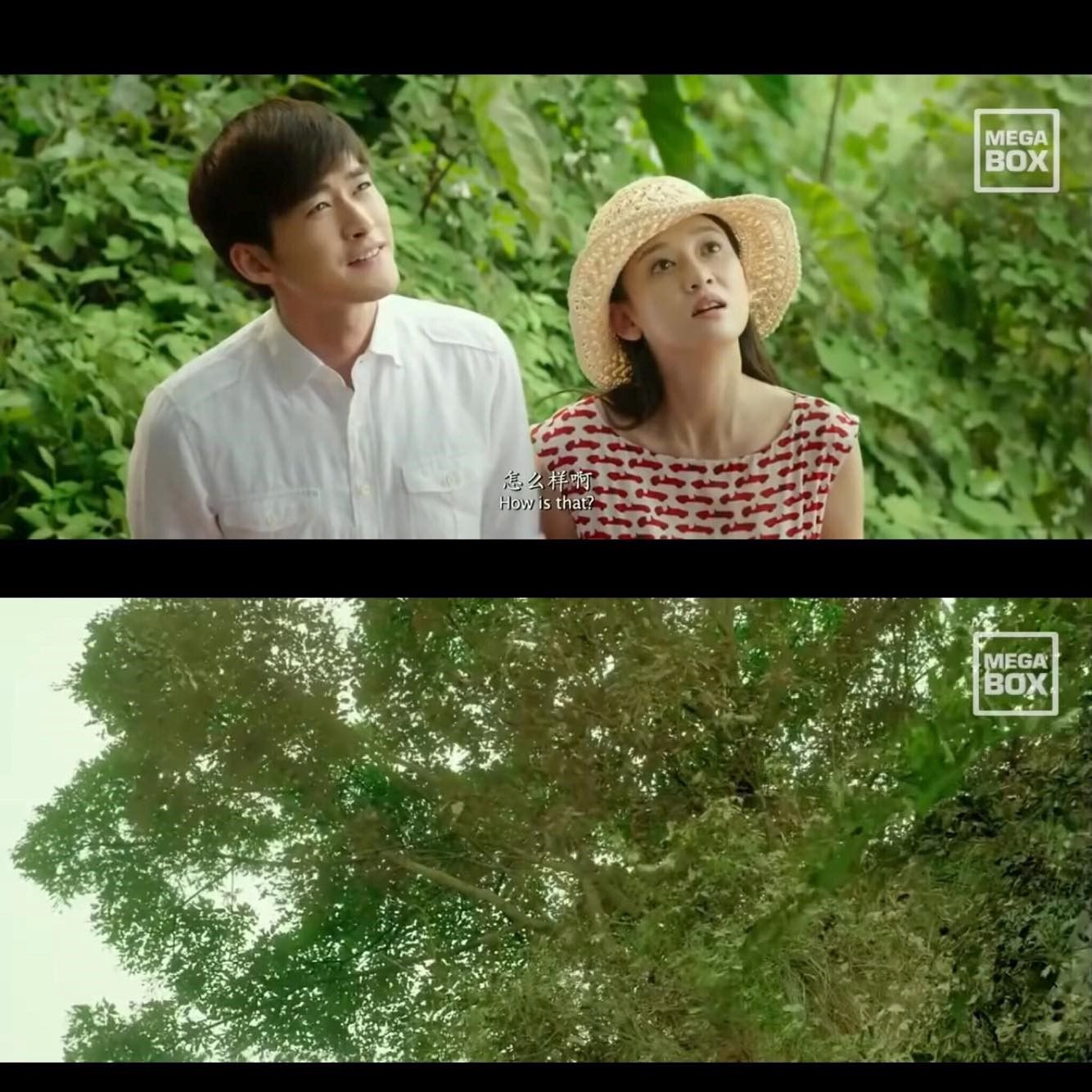 No đậu đỏ vẫn chưa thoát F.A? Xem ngay “sách giáo khoa” những màn tỏ tình kinh điển này ảnh 6