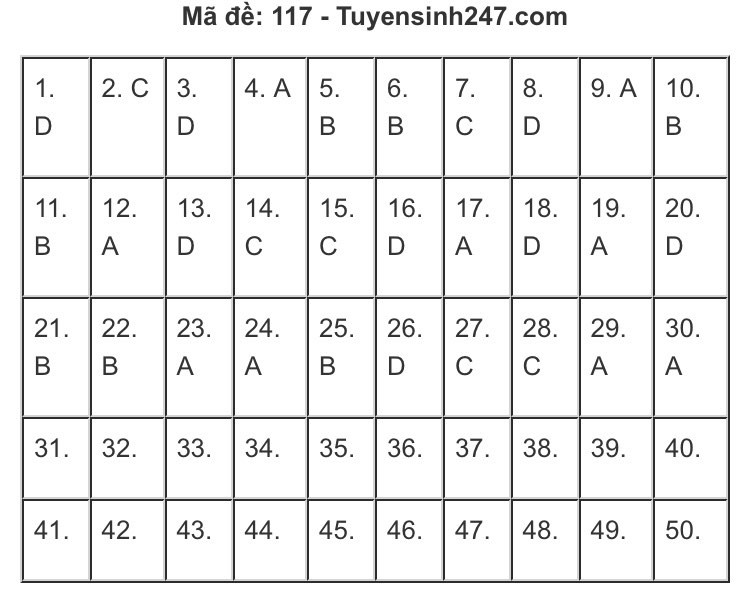 Gợi ý đáp án môn Toán thi Tốt nghiệp THPT 2020: Cùng chấm xem mình được mấy điểm! ảnh 9