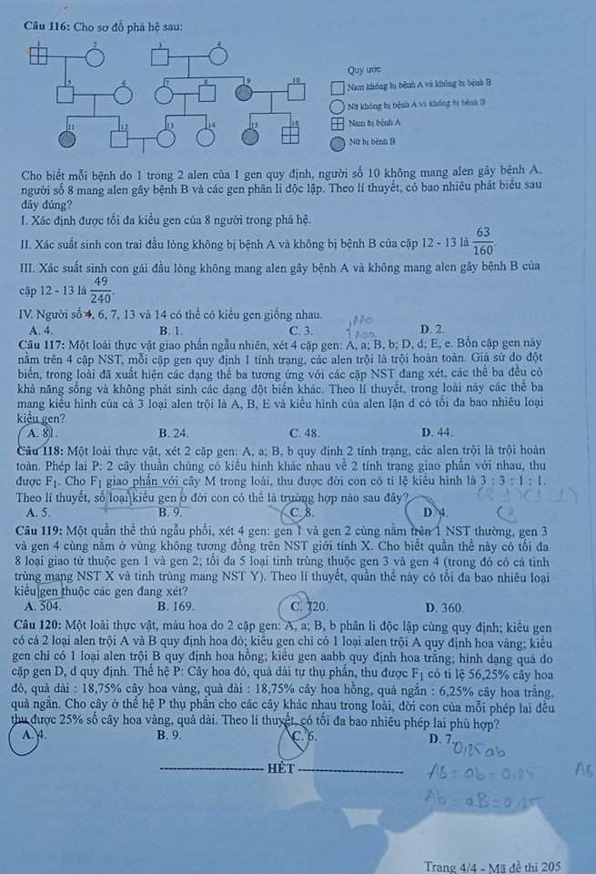 So ngay đáp án bài thi tổ hợp Khoa học Tự nhiên của kỳ thi Tốt nghiệp THPT 2020 ảnh 5