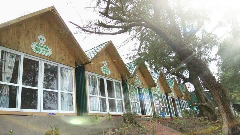 Những homestay đẹp hút hồn tại Cô Tô (Quảng Ninh) được giới trẻ check-in “cực mạnh” Hè này ảnh 7