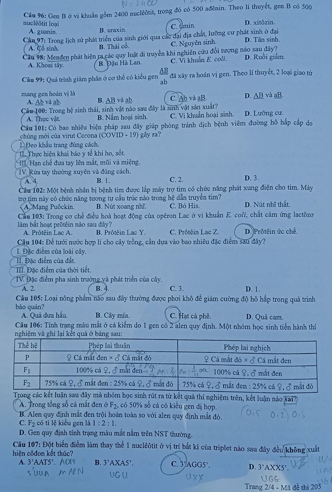 So ngay đáp án bài thi tổ hợp Khoa học Tự nhiên của kỳ thi Tốt nghiệp THPT 2020 ảnh 3