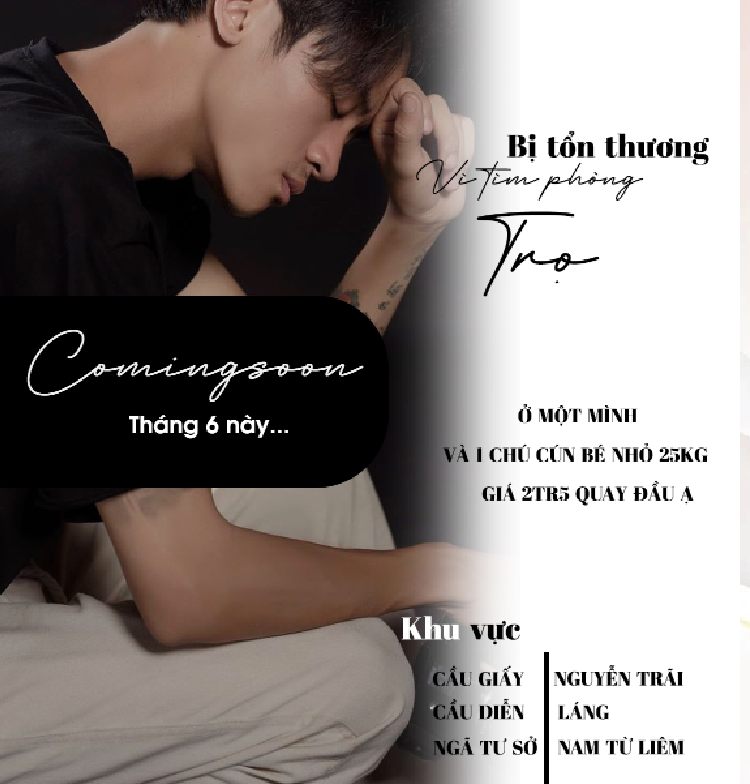Cộng đồng mạng cười ngất với những tin tìm phòng trọ thiết kế “xịn” như poster phim ảnh 5