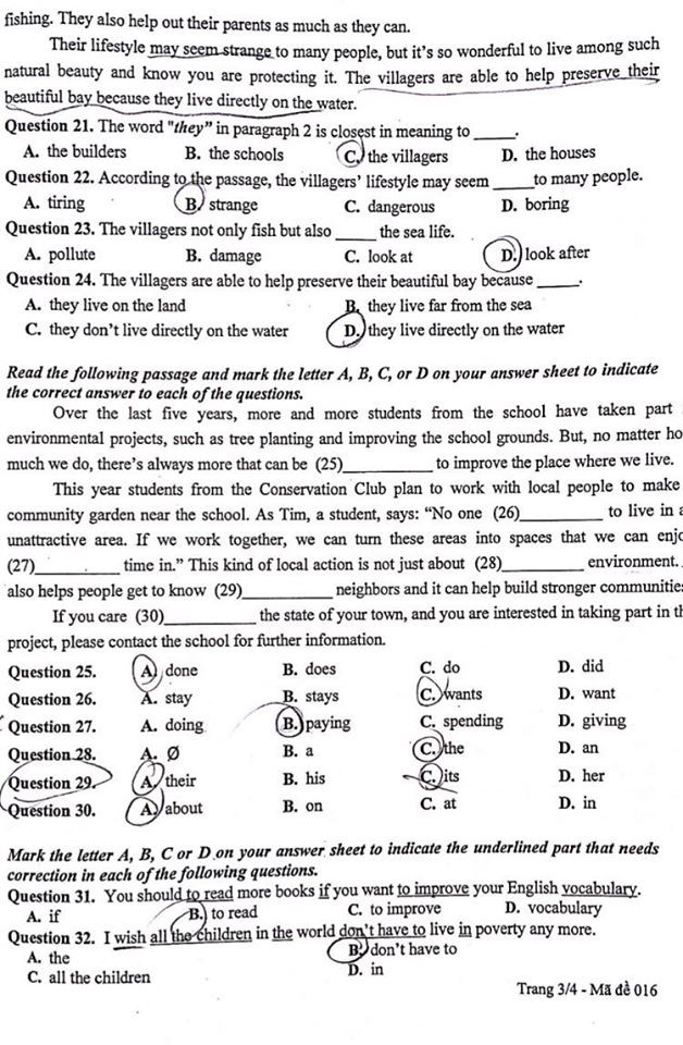 Đáp án và nhận định đề thi môn Tiếng Anh lớp 10 THPT tại Hà Nội năm 2020 ảnh 3